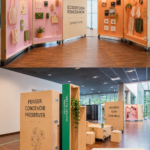 Un espace de travail écoresponsable intégrant des éléments d'écodesign.
