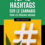 Graphique représentant des hashtags utilisés dans le marketing sur les réseaux sociaux