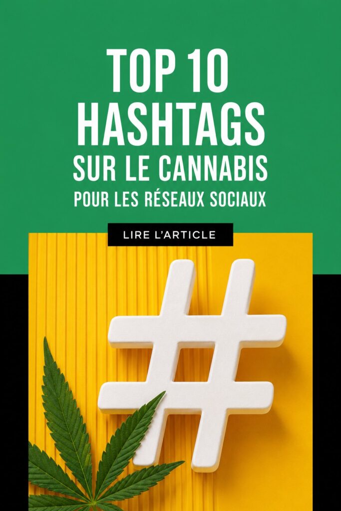 Graphique représentant des hashtags utilisés dans le marketing sur les réseaux sociaux